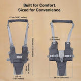 Baby Walking Helper Harness - Help Toddlers Learn to Walk Stand Up with Adjustable Handheld Walker - Learning Assistance Safety Belt Harness Support for Babies 6 to 24 Months (Gray)